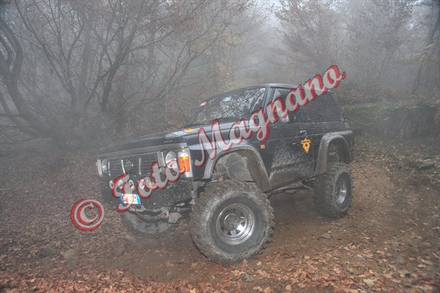 DSC_3695.jpg